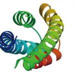 This research revolutionizes our understanding of Covid-19